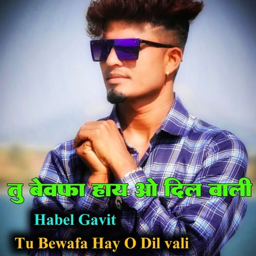 Tu Bewafa Hay O Dil Vali