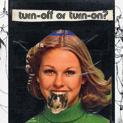 Chard cover art