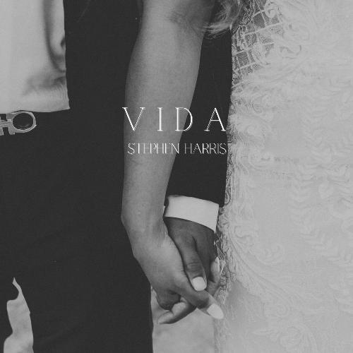 Vida_poster_image