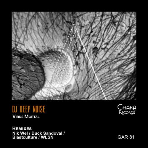 Virus Mortal (WLSN expanded dub remix) cover art