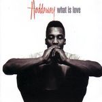 What Is Love (7” Mix)