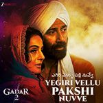 Yegiri Vellu Pakshi Nuvve - Gadar 2