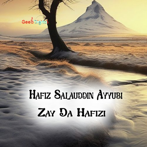 Zay Da Hafizi