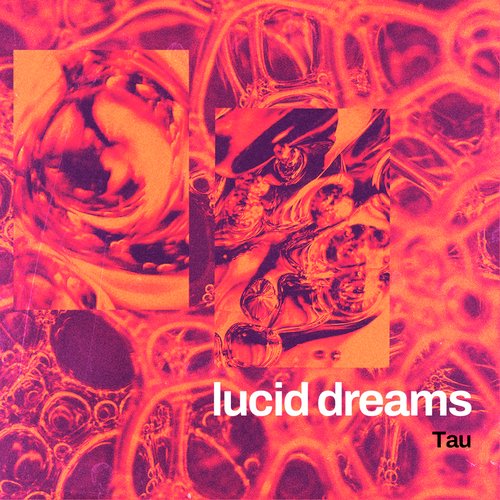 lucid dreams