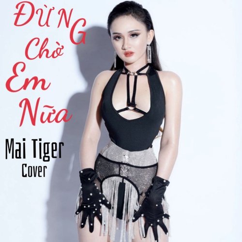 Đừng Chờ Em Nữa (Cover)_poster_image