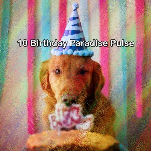 10 Birthday Paradise Pulse_poster_image