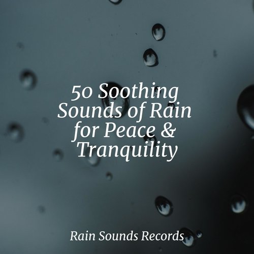 Calm Stream cover art