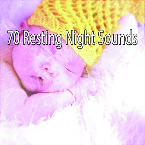 70 Resting Night Sounds
