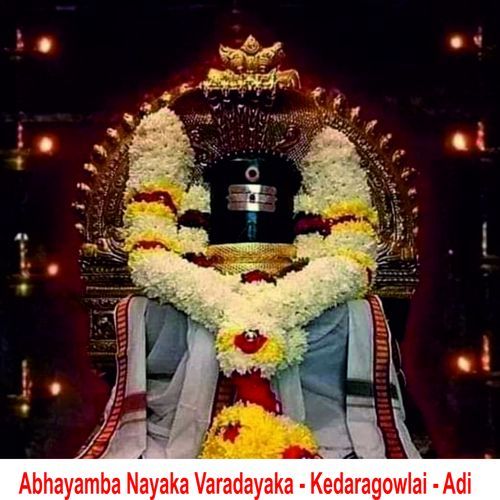 Abhayamba Nayaka Varadayaka - Kedaragowlai - Adi