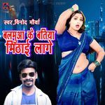 Balamua Ke Batiya Mithaai Laage