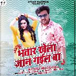 Bhatar Khela Jaan Gayil Ba - Single