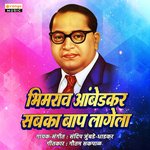 Bhimrao Ambedkar Sabka Baap Lagela