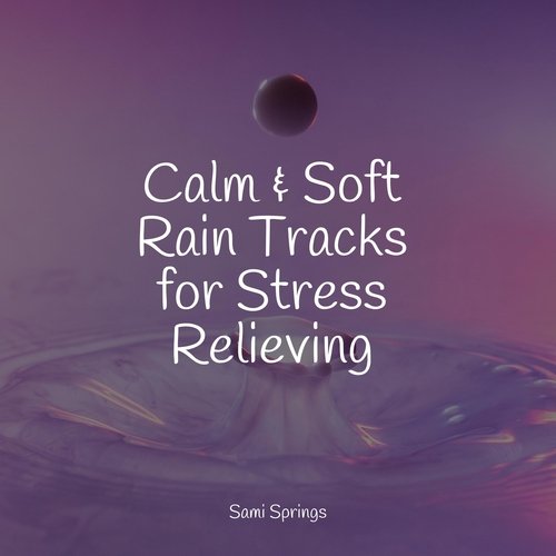 Calm &amp; Soft Rain Tracks for Stress Relieving_poster_image