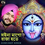 Chaina Maa Go Raja Hote