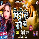 Chithhi Tere Nam Ki