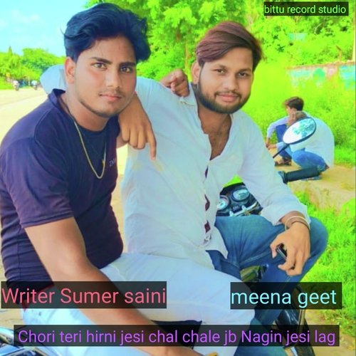 Chori teri hirni jesi chal chale jb Nagin jesi lag (MEENA GEET)
