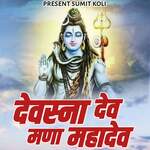 Devasna Dev Mana Mahadev artwork