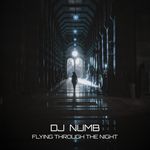 Flying Through The Night