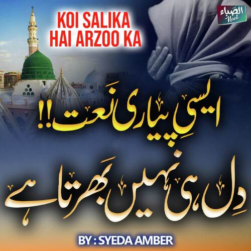 Koi Salika Hai Arzoo Ka