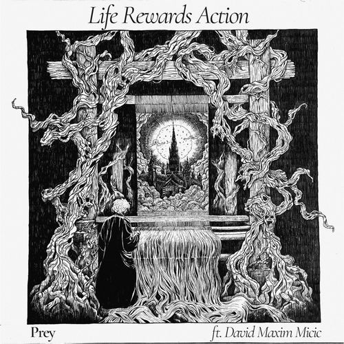 Life Rewards Action