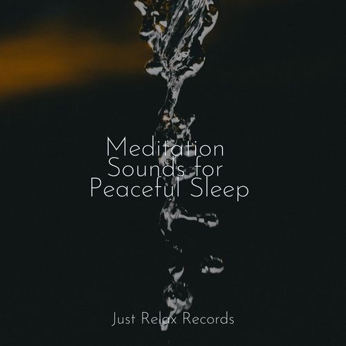 Mystical Twilight Orchestra cover art