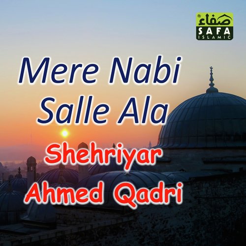 Shehriyar Ahmed Qadri