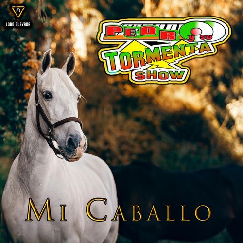 Cumbia de los 9 Hermanos cover art