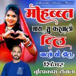 Mohabbat Maro Su Kar Bali Dil Batati Dholi