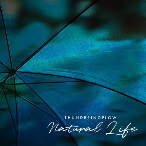 Natural Expanse cover art