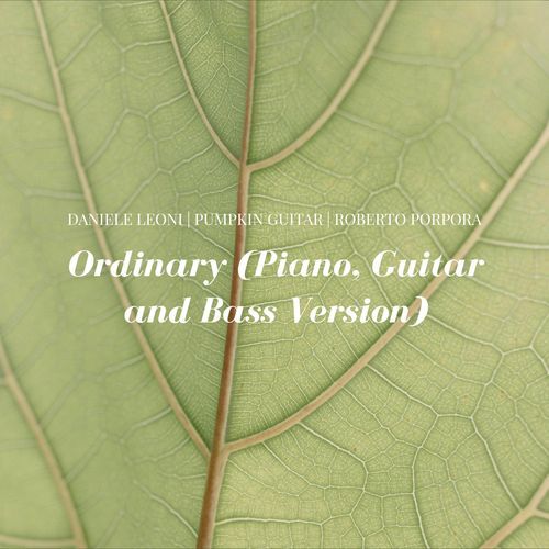 Ordinary (Piano, Guitar and Bass Version) cover art