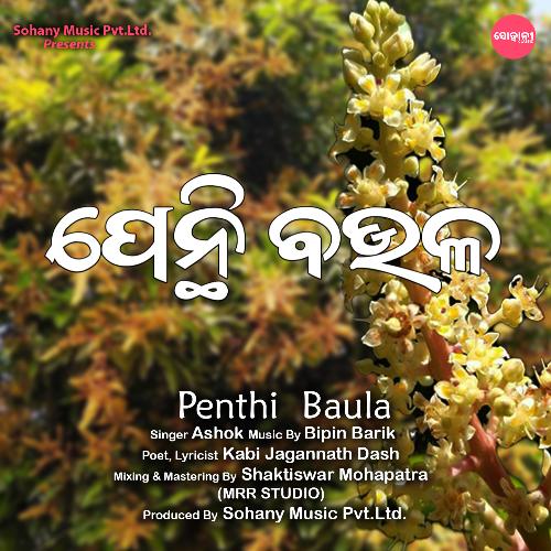 Penthi Baula