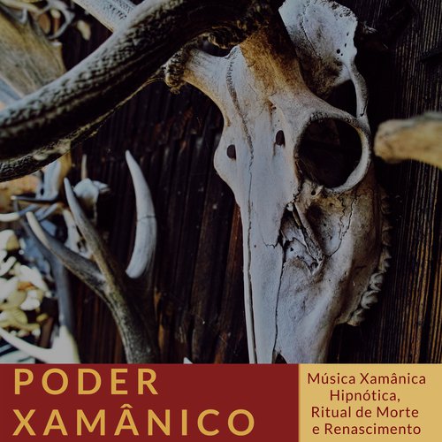 Poder Xamânico cover art
