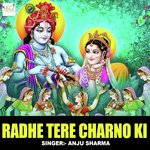 Radhe Tere Charno Ki