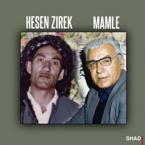 Shad cover art