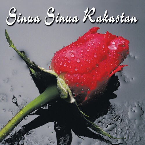 Sinua sinua rakastan