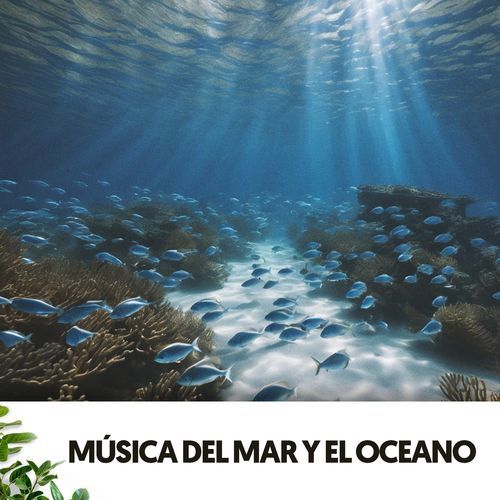 Sonidos del Oceano y el Mar: Melodías bajo las olas_poster_image