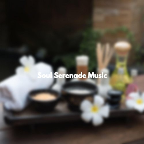 Soul Serenade Music