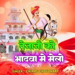 TEJA JI KO BHADVA ME MELO