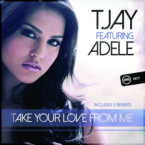 Take Your Love From Me_poster_image