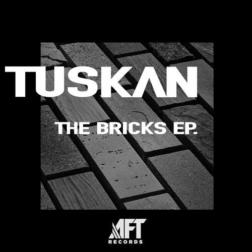 The Bricks cover art
