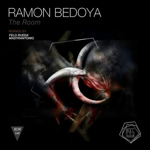 The Room (Felo Rueda Remix) cover art