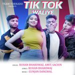 Tik Tok Chalti Hai Tu