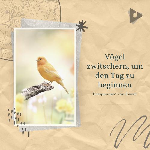 Pfeifenlieder von Tallinn cover art