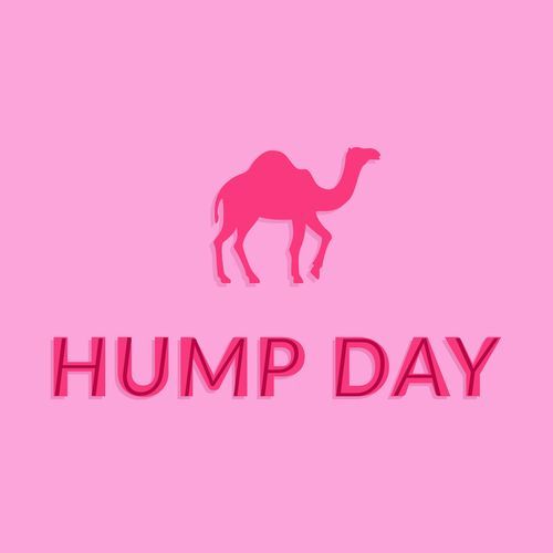 Wednesday Hump Day_poster_image