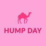 Wednesday Hump Day