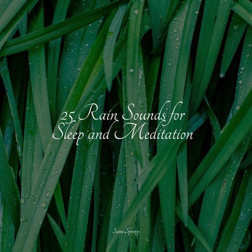 25 Rain Sounds for Sleep and Meditation