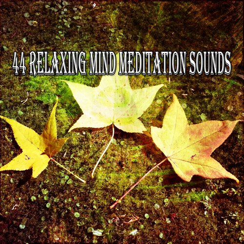 44 Relaxing Mind Meditation Sounds