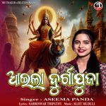 Aaila DurgaPuja