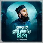 Allah Tumi Acho Mishe