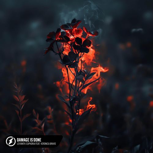 Damage is Done (feat. Veronica Bravo)